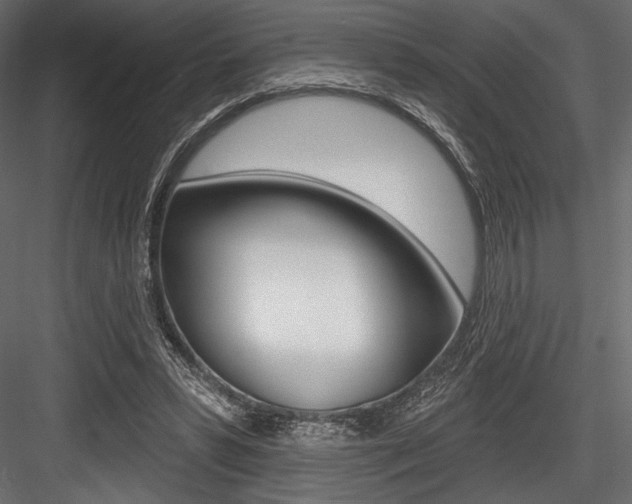 X0000084520399200702230843