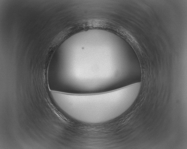 X0000084520401200702230843