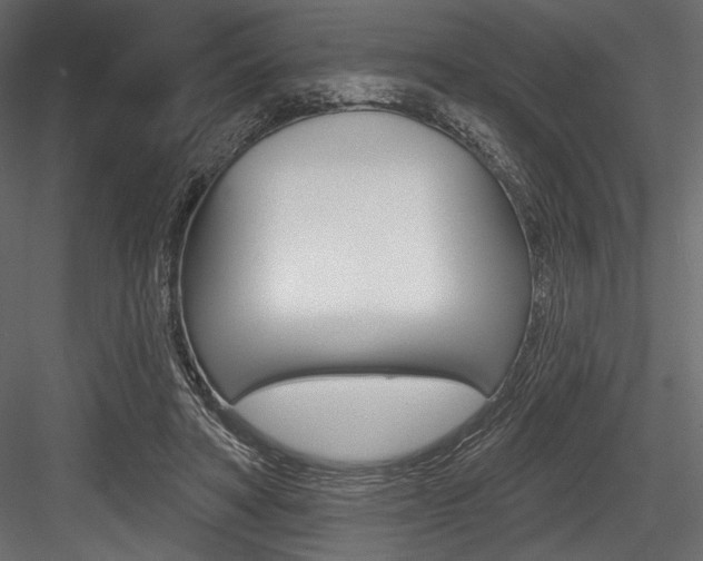 X0000084520402200702230843