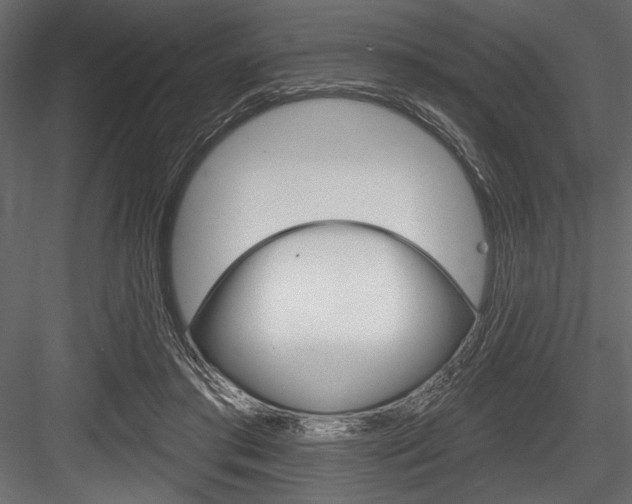 X0000084520405200702230843