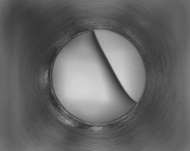X0000084520406200702230843
