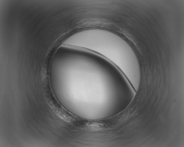 X0000084520407200702230843