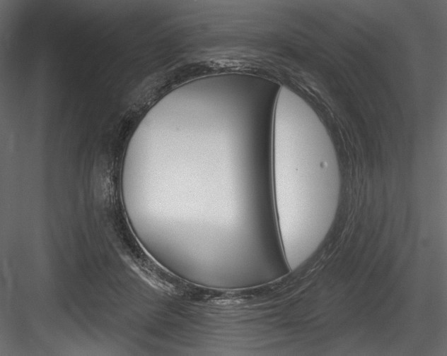 X0000084520408200702230843