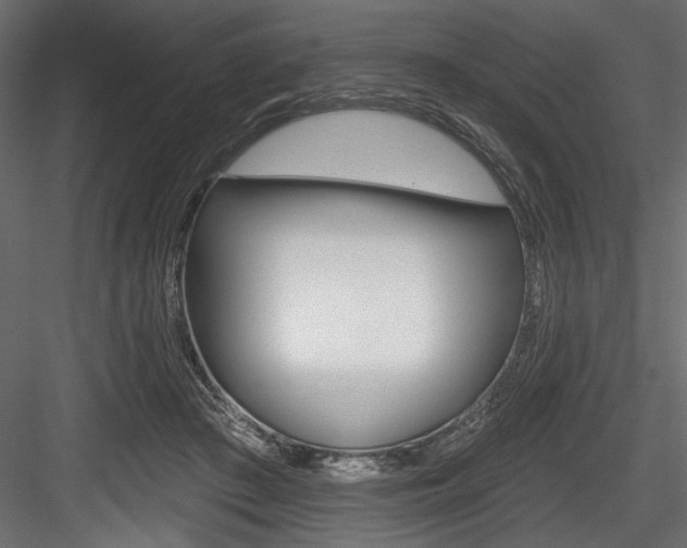 X0000084520409200702230843