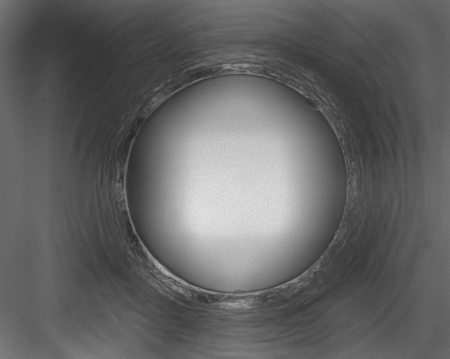 X0000084520411200702230843