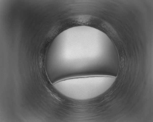 X0000084520412200702230843