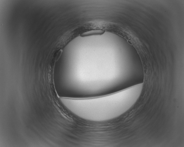 X0000084520413200702230843