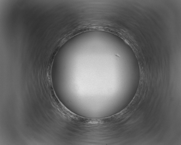 X0000084520415200702230843