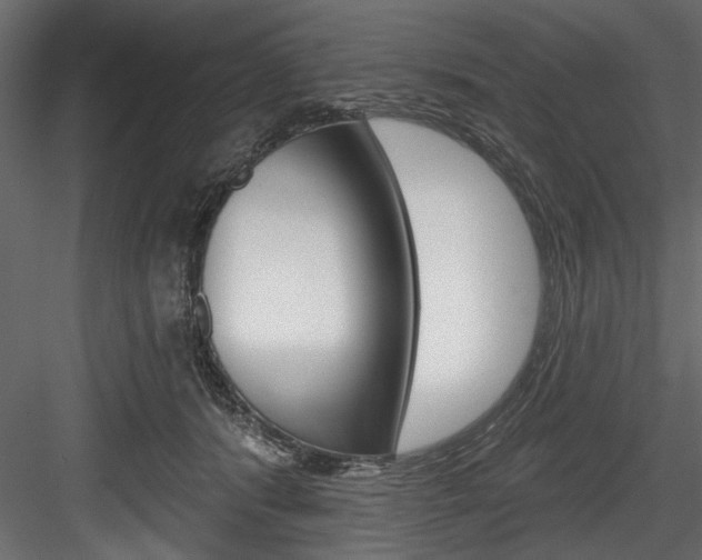 X0000084520416200702230843