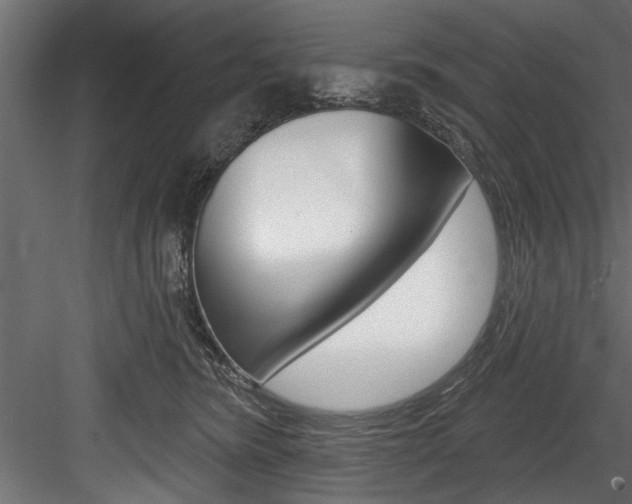 X0000084520420200702230843