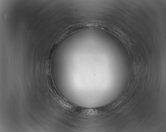 X0000084520421200702230843