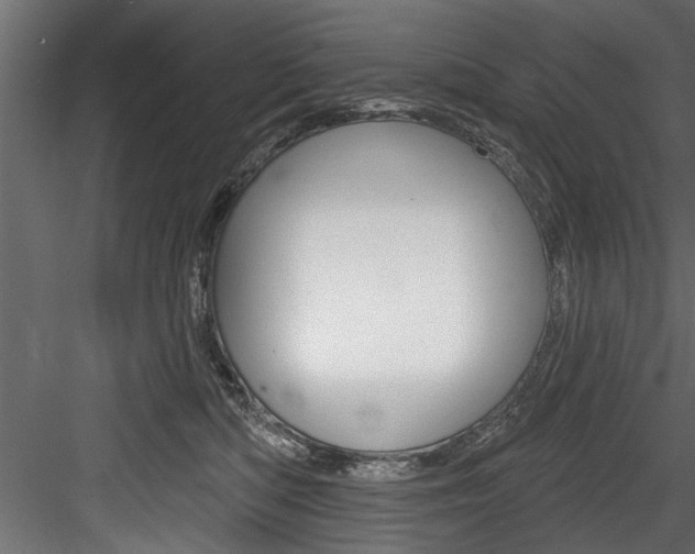 X0000084520422200702230843