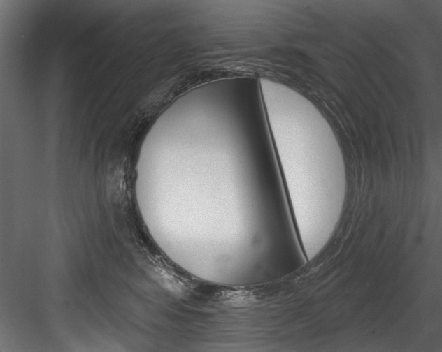 X0000084520424200702230843