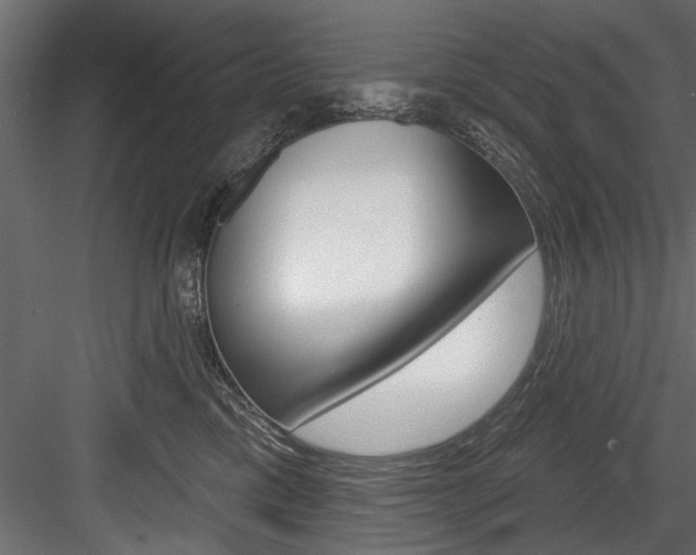 X0000084520425200702230843