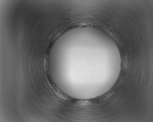 X0000084520427200702230843