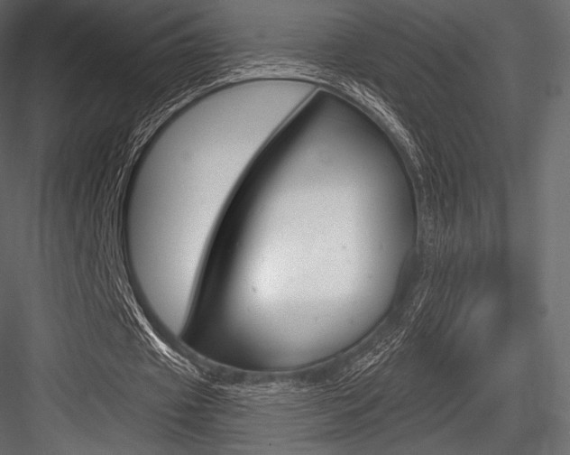 X0000084520433200702230842