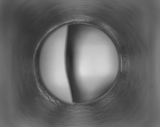 X0000084520435200702230842