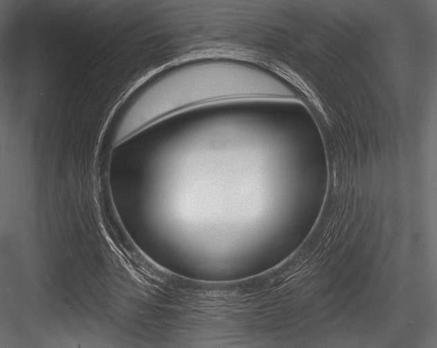 X0000084520436200702230842