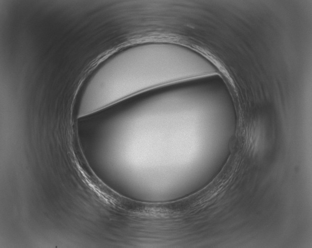 X0000084520437200702230842