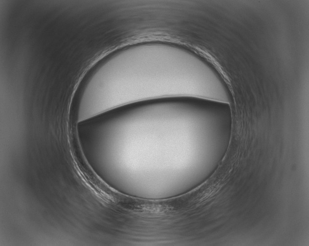 X0000084520439200702230842