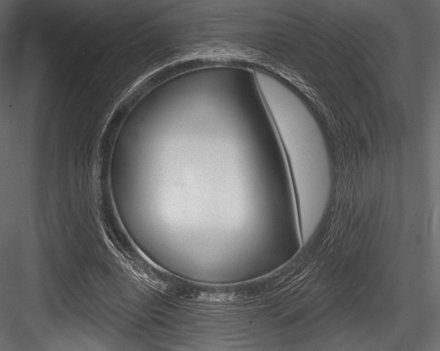 X0000084520440200702230842