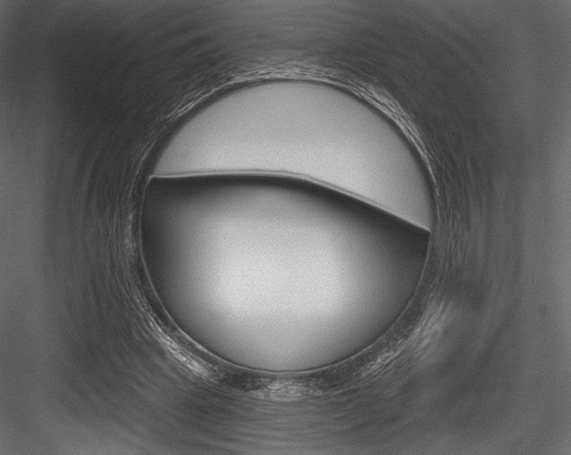 X0000084520441200702230842
