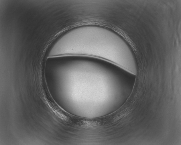 X0000084520442200702230842