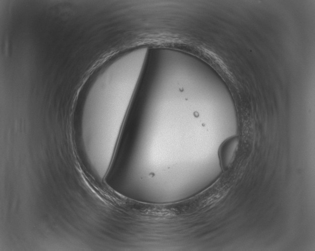 X0000084520443200702230842