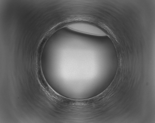 X0000084520444200702230842