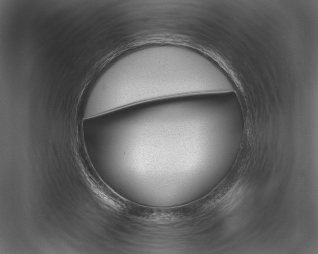 X0000084520445200702230842