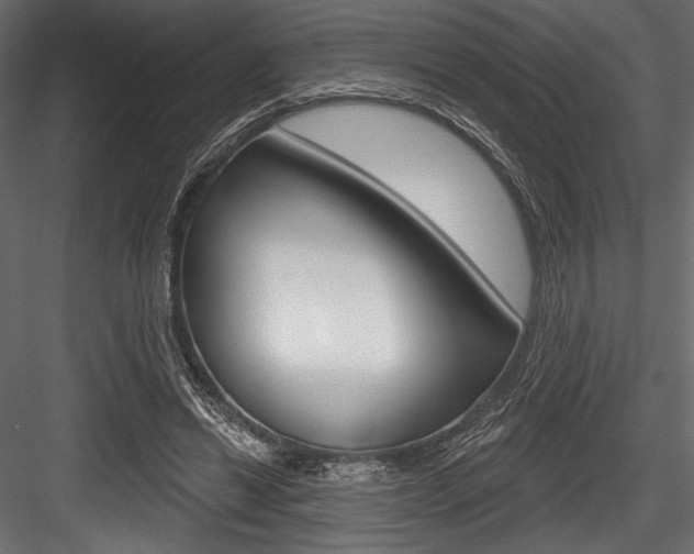 X0000084520446200702230842