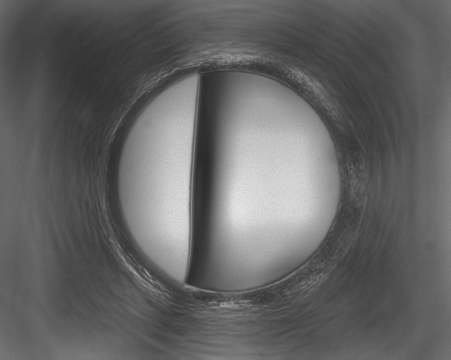 X0000084520447200702230842