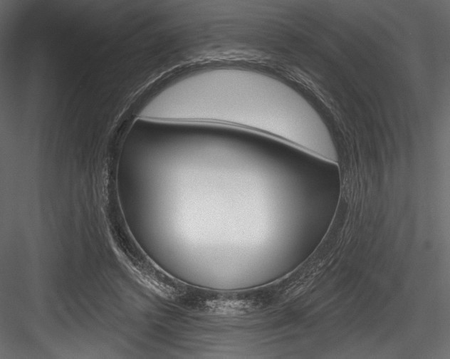 X0000084520448200702230842