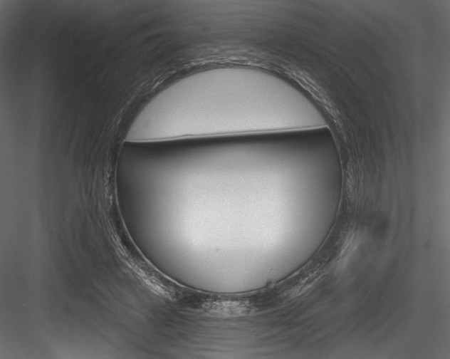 X0000084520449200702230842