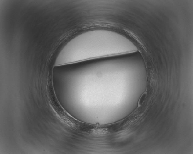 X0000084520451200702230842