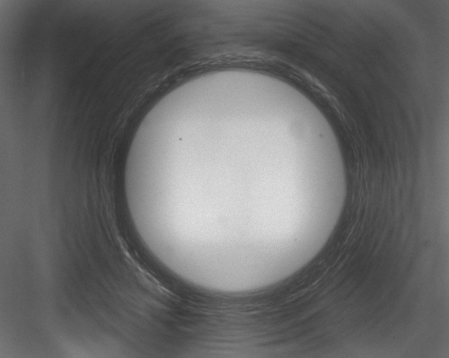 X0000084520452200702230842
