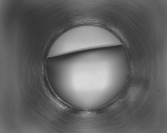 X0000084520453200702230842