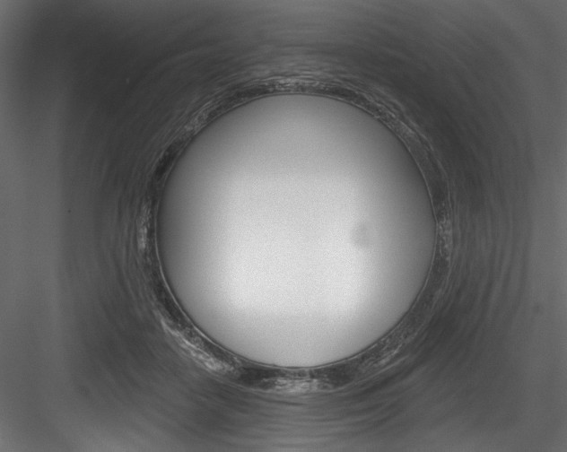 X0000084520458200702230842