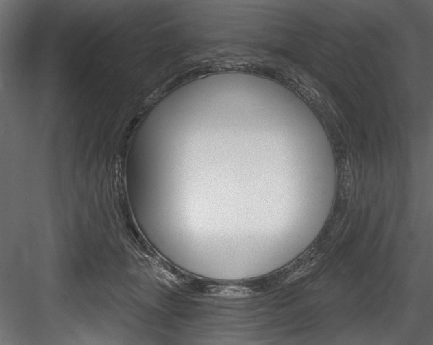 X0000084520463200702230842