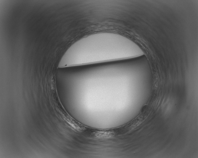 X0000084520465200702230842