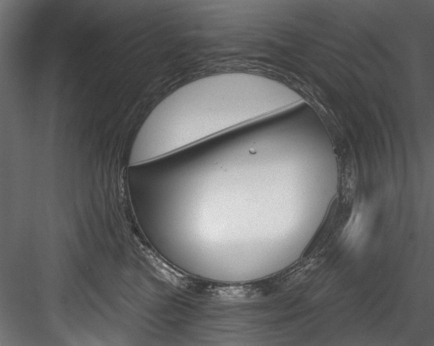X0000084520473200702230842