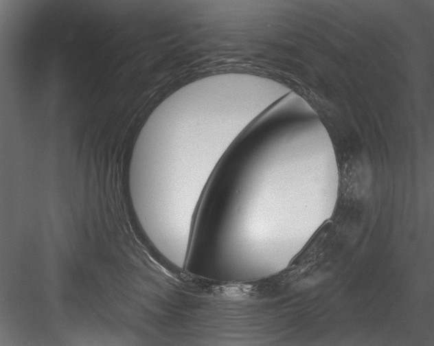 X0000084520474200702230842