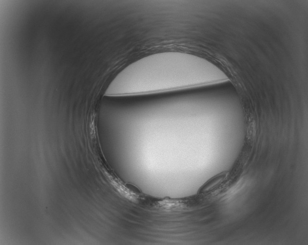 X0000084520477200702230843