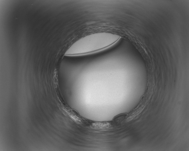 X0000084520480200702230843