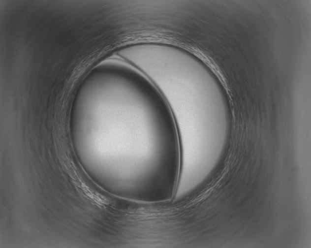 X0000084520481200702230842