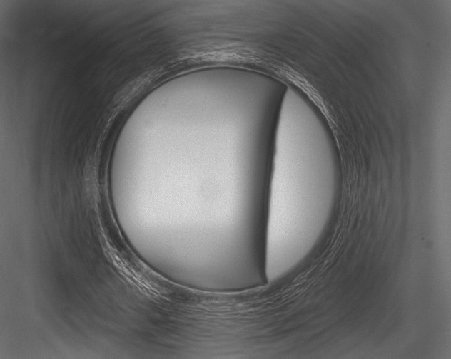 X0000084520482200702230842