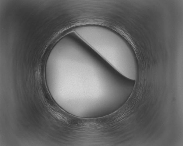 X0000084520483200702230842