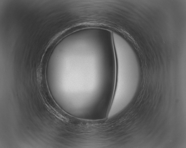 X0000084520484200702230842