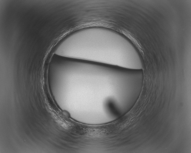 X0000084520486200702230842