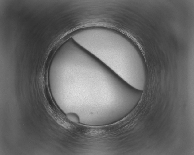 X0000084520487200702230842